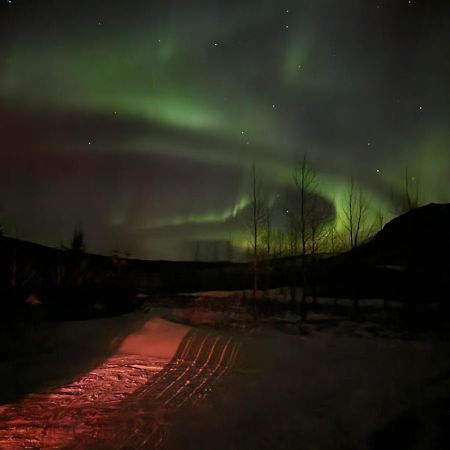 Golden Circle Cabin, Hot Tub Villa Geysir Exterior photo